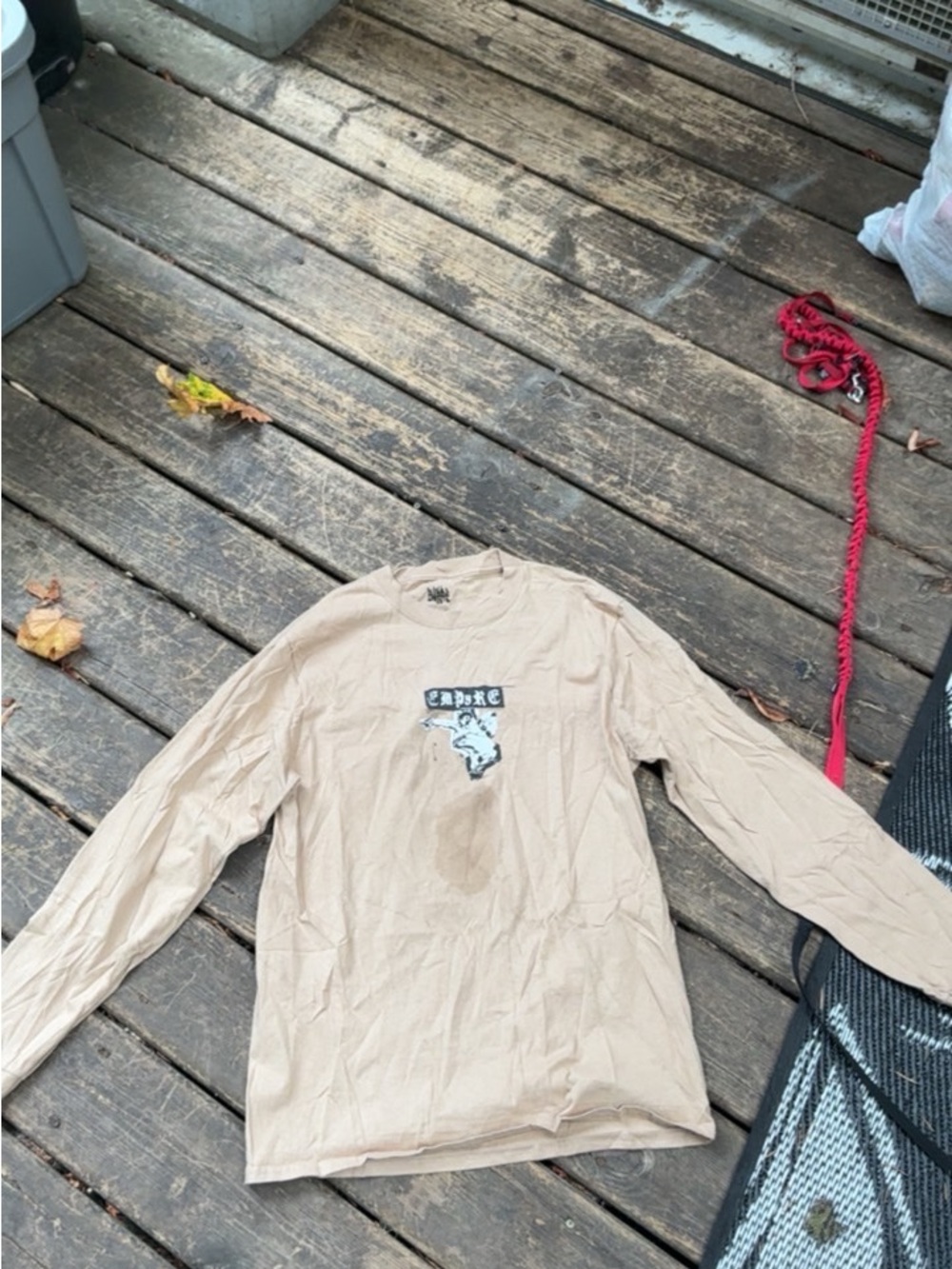 Zumiez Beige Long-Sleeve Graphic Tee